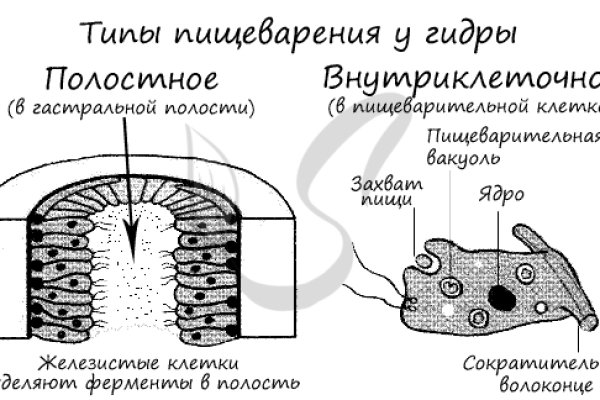 Kraken актуальный сайт