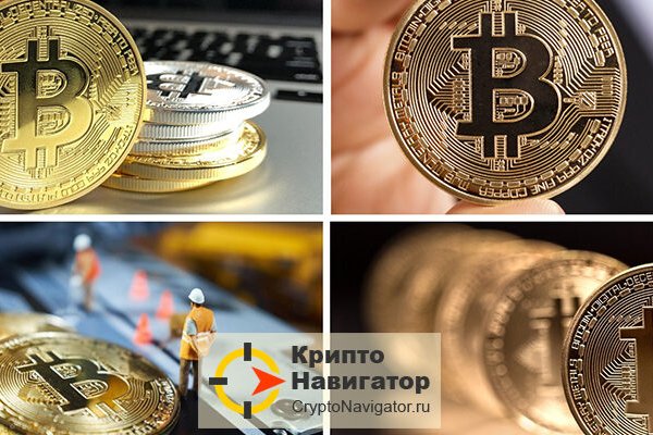 Где взять ссылку кракена