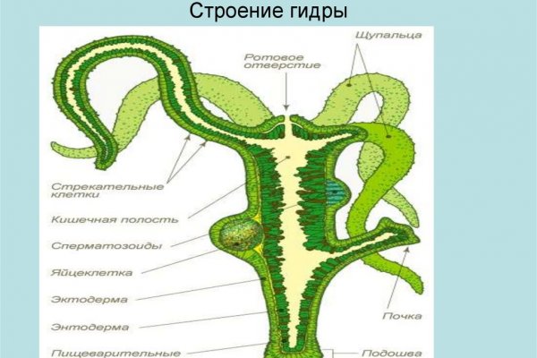 Кракен zerkalo pw