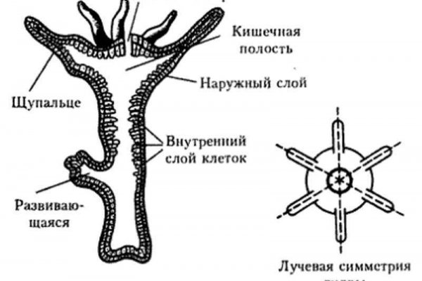 Кракен портал