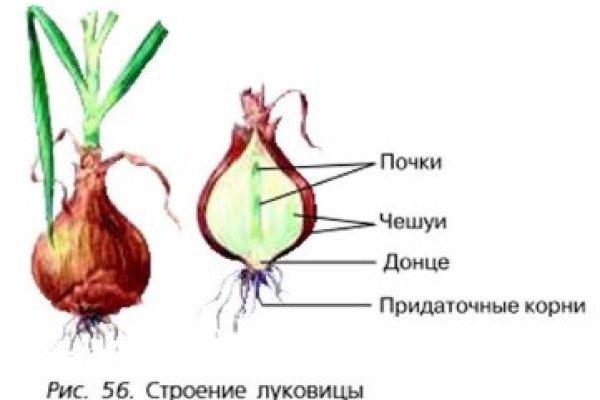 Какая комиссия кракен маркетплейс